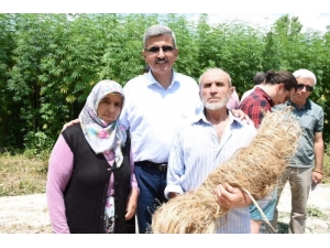 Vezirköprü, Tarım Fuarı’na ’Kenevir’ İle Damga Vuracak