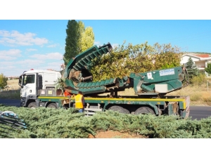 Ankara Büyükşehir’den Ağaç Hassasiyeti