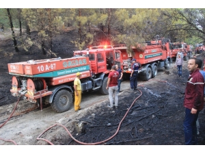 Kazdağları’nda Çıkan Orman Yangını Söndürüldü