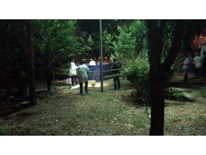 Beylikdüzü’nde Lüks Sitede Kadın Cesedi Bulundu