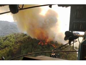 Marmaris’te Bu Yıl 35 Hektar Ormanlık Alan Yandı