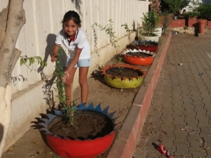 Kıbrıs İlkokulu Çiçeklerle Renklendi