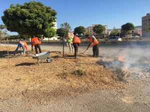 Bulvarların Ve Refüjlerin Bakımları Yapılıyor