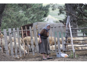 Yörüklerin Gelir Kapısı Akdağ