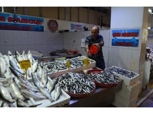 Yıllar Sonra İlk Kez Erken Çıkan Yerli Hamsi Balıkçıları Endişelendirdi
