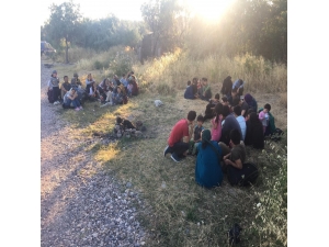 4 Günde 483 Kaçak Yakalandı