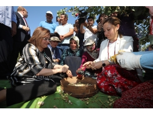 Başkan Fatma Şahin, Gurme Ve Gastronomi Yazarları İle Birlikte Fıstık Topladı