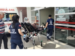 Yılanın Soktuğu Kadın Hastanelik Oldu