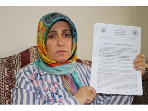 Doktor Annenin Velayet Mücadelesi