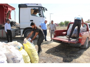 Karaman’da Iskarta Elma Alım Fiyatları Yüz Güldürüyor