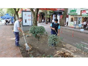 İzmit Yürüyüş Yolu, Her Gün Temizleniyor
