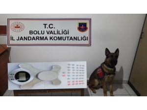 Bolu’da Uyuşturucu Operasyonu: 1 Tutuklu