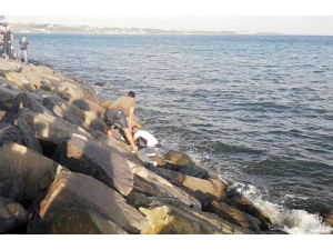 Avcılar’da Denize Düşen Genç Kayalıklara Sıkıştı