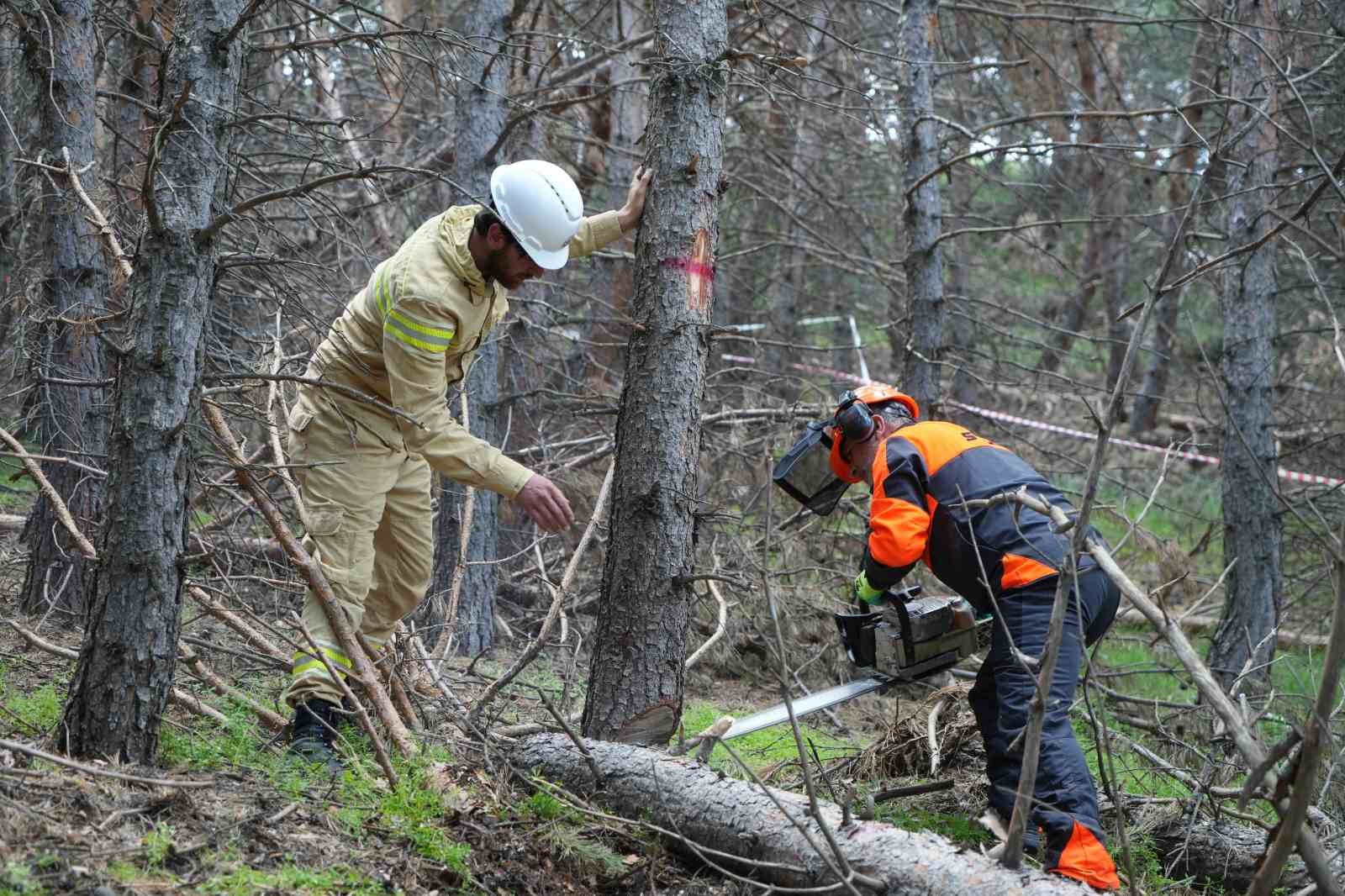 erzurum-un-akcigerlerine-planli-dokunus