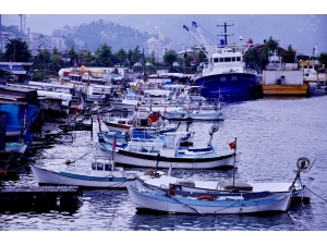 Arslan: "Karadeniz Alarm Veriyor, Balık Av Sezonu Kasım’da Kapanabilir"