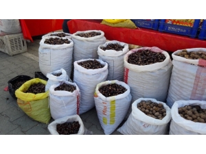 Sinop’un Meşhur Erfelek Kestanesi Tezgahlarda