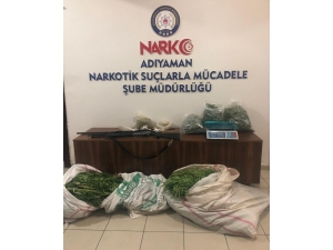 Adıyaman’da Uyuşturucu Operasyonu