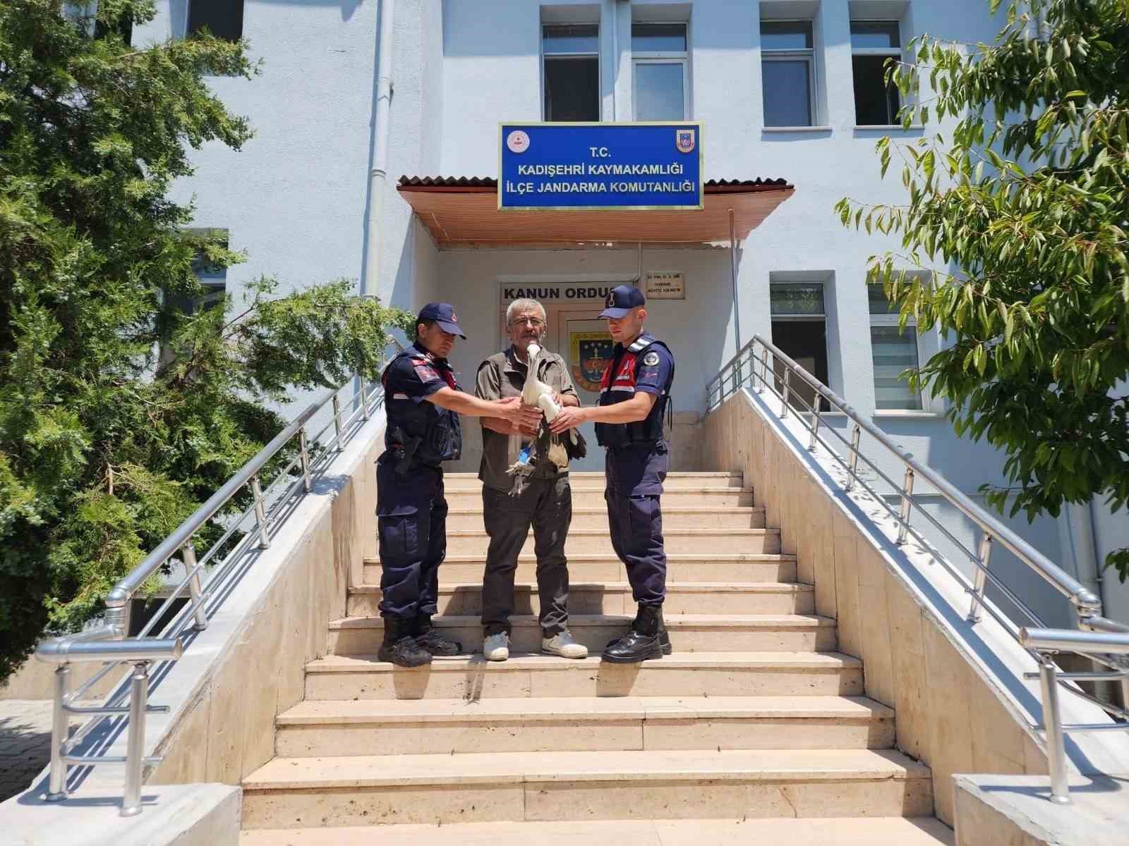 yarali-leylek-tedavi-altina-alindi