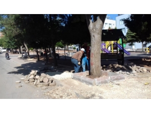 Yeni Belediye Hizmet Binasının Peyzajı Yapılıyor