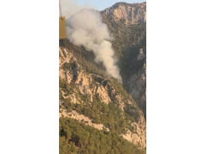 Yıldırım Sebebiyle 3 Gün Önce Çıkan Yangın Kontrol Altına Alındı