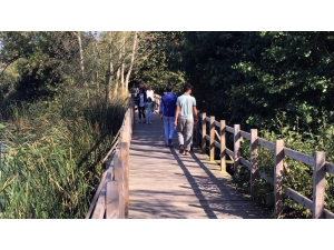 Acarlar Longozu’na Hafta Sonunda Yoğun İlgi