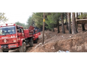 Kahramanmaraş’ta Zeytinlik Alanda Yangın
