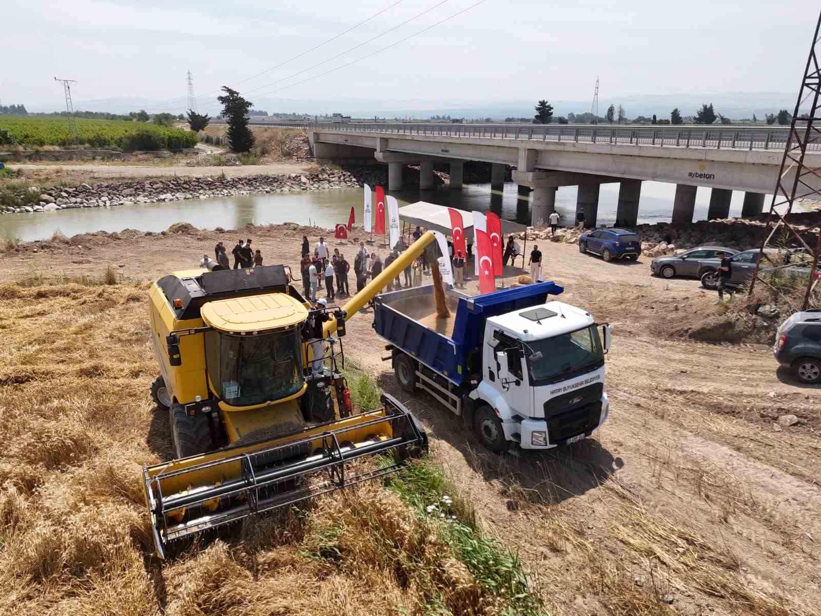 hatay-da-her-tohum-bir-gida-projesinde-ekilen-bugday-hasat-edildi