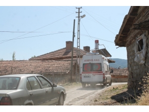 Tosya’da Cevizden Düşen Kişi Yaralandı