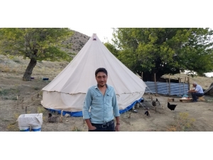 Erzincan’da Kanguru Faresine Benzeyen Arap Tavşanı Görüntülendi