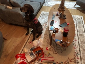 Bursa’da ’Roket’ten Kaçamadılar