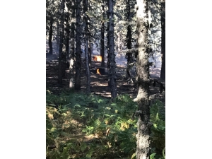 Kütahya’da Orman Yangını