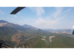 Yıldırım Düşen Ormanlık Alanda Yangın Çıktı