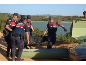 Kıyıya Vuran Cesedi Çoban Köpekleri Buldu