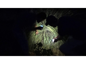 Kayalıklarda Mahsur Kalan Yavru Kedi İçin Seferber Oldular