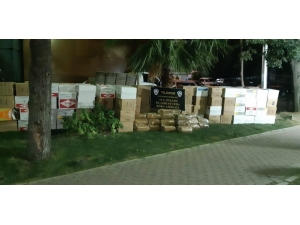 Gazete Kaplı Camdan Şüphelenen Polis 240 Kilo Kaçak Tütün Yakaladı