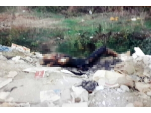 Kocasını Sevgilisine Bıçaklattı, Cesedini Yaktı, 13 Yıl Maaşını Yedi