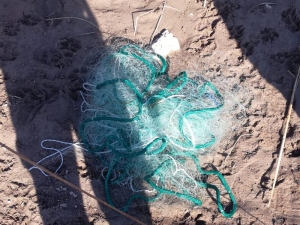 Jandarma Kaçak Balık Avlayan Şüpheliyi Suçüstü Yakaladı