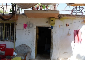 ’Evde Yılan Var’ Korkusuyla 45 Gündür Damda Uyuyorlar