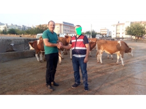 Jandarma Ekipleri Besicinin 20 Yıllık Birikimini Kurtardı