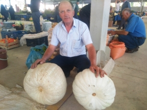 Dev Bal Kabaklarını Satmakta Zorlanıyor