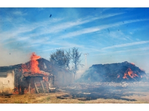 Hayvan Çiftliği Alev Alev Yandı