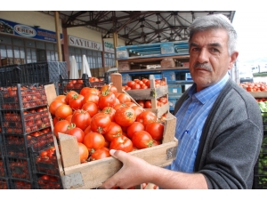 Tokat’ta Domates 20 Kuruşa Düştü