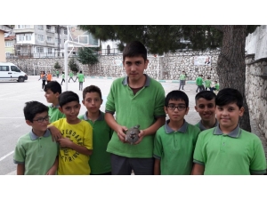 Yaralı Kekliğe Öğrenciler Sahip Çıktı