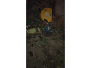 Hayata 5 Gün Tutunabildi