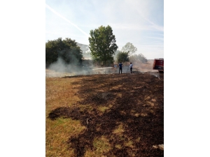 Tarla Yangını Korkuttu