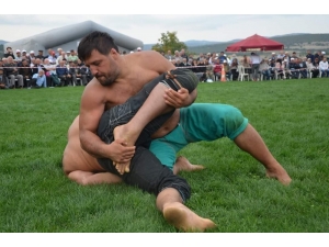 Gümüşhacıköy Güreşlerinde Başpehlivan Recep Kara