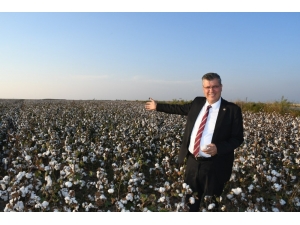 Ayhan Barut: “Pamukta Çözüm İçin Meclis Harekete Geçmelidir”