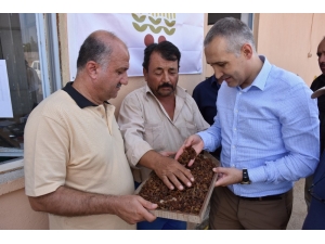 Kuru Üzüm Alımlarına Yerinde İnceleme