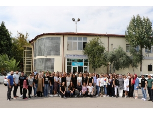 ‘Kocaeli Anne Şehir’ Projesi Çalışanlarına Eğitim