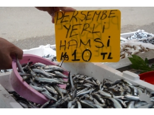 Denizden Hamsi Fışkırdı, Fiyatlar 10 Liraya Düştü